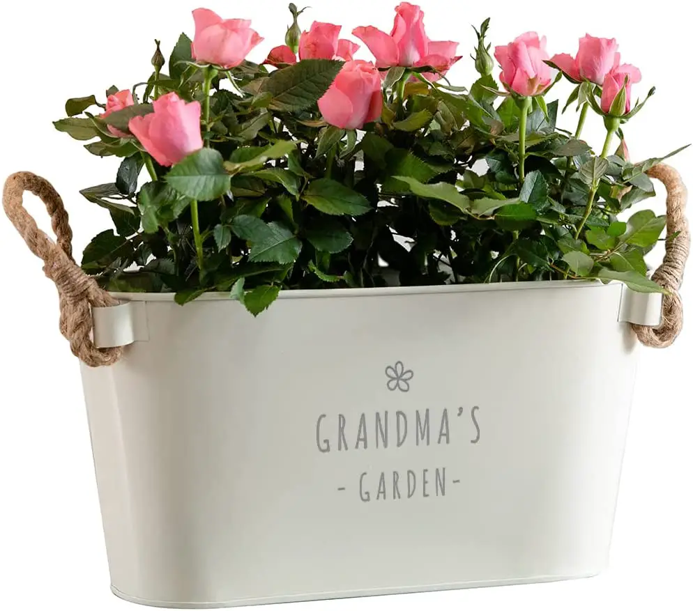 Engraved Flower Pot