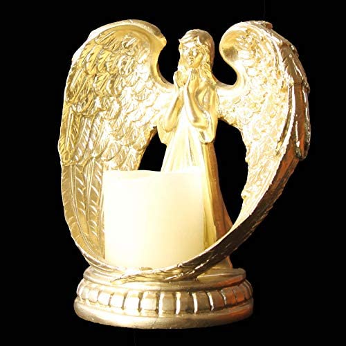 Fish Golden Angel Wing Praying Statue